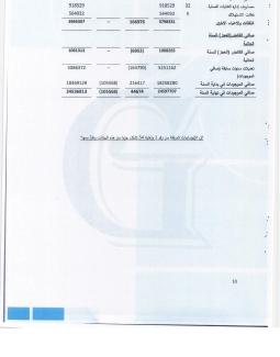 تقرير المدقق 2024